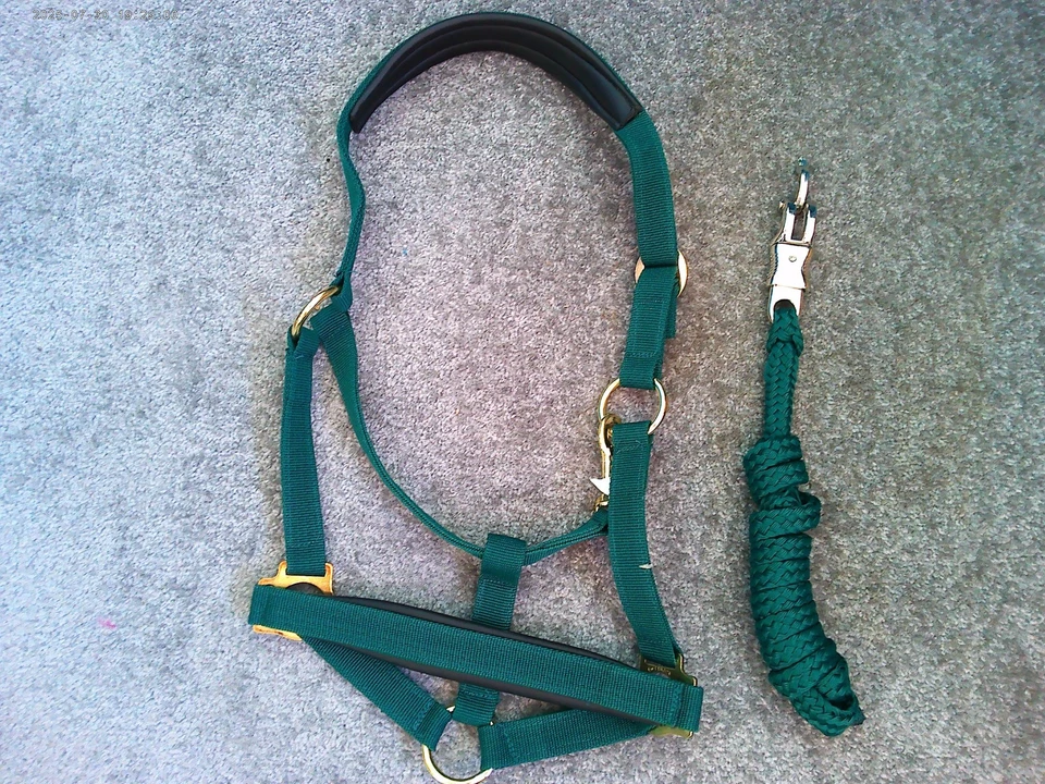 Halfter Set Vollblut dunkelgrün - Bild 1 von 1