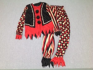 Court Jester Costume - Picture 1 of 19