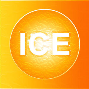 IceOrange.com Ice Orange! Zesty Pronounceable Brandable Two Word Domain Name