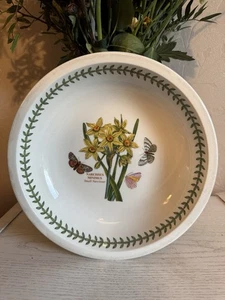 Portmeirion Botanic Garden Rim Soup Pasta Bowl 9”Narcissus Minimus - Picture 1 of 4