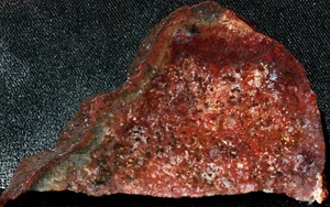 S-260  ~  3.0 oz Slab Brenda Plume/Moss Agate - Picture 1 of 10