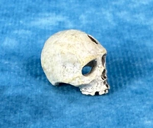 Mandíbulas NECA, cráneo humano, parte, comido por JAWS, Bruce, icónico, NUEVO - Imagen 1 de 5