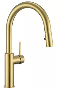 Grifo de fregadero de cocina de una sola manija con rociador extraíble Luxe dorado - Imagen 1 de 10