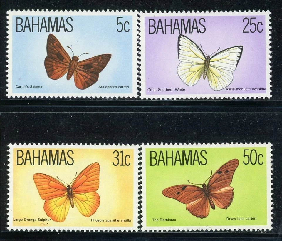 BAHAMAS 539-42 SG653-56 MNH 1983 蝴蝶 4 件套简历 9 美元 — 第 1/1 张图片