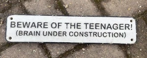 Cast Iron Beware of the Teenager Wall Plaque Vintage Sign Gift Home Humour - Picture 1 of 2