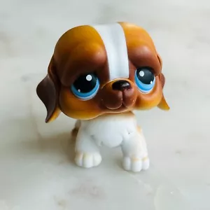 Figurina Littlest Pet Shop LPS San Bernardo cucciolo cane con occhi azzurri 2004 #76 - Foto 1 di 5