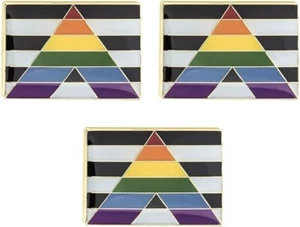 3 x gerade Ally Pride LGBT rechteckige farbige Flagge Anstecknadel Festival Abzeichen - Bild 1 von 1