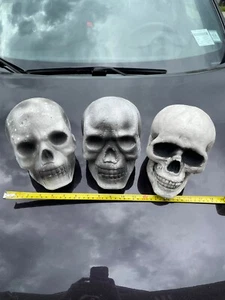 3 Halloween Styrofoam Skulls - Picture 1 of 8