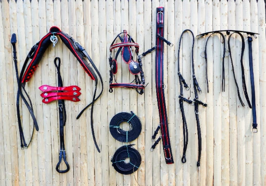 Full Size Leather Horse Driving Harness With Red Trim - Premium Quality - Image 1 of 4