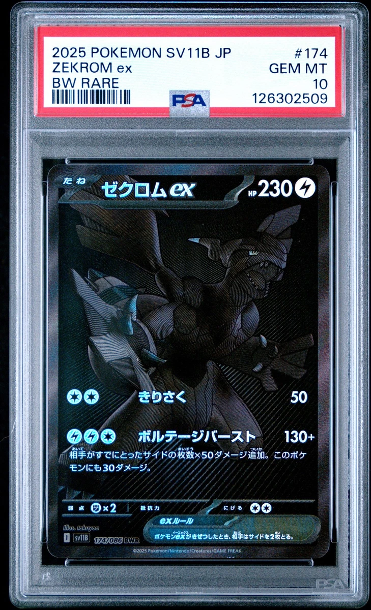 Zekrom Pokémon TCG Professional Sports Authenticator (PSA