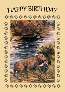 CHESAPEAKE BAY RETRIEVER HUND GEBURTSTAG GRUSS NOTIZKARTE - Bild 1 von 1