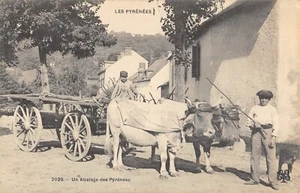 CPA 65 LES PYRENEES UN ATTELAGE DES PYRENEES  / AGRICULTURE - Picture 1 of 1