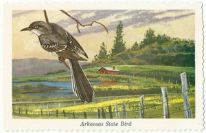 Postal Arkansas State Bird Mockingbird por Ken Haag sin usar como nueva 1968 - Imagen 1 de 1