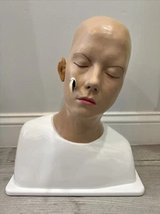 Adam Rouilly Ohr Diagnose Trainer Mensch Kopf Otoskop 12 Szenario Objektträger AR302 - Bild 1 von 6