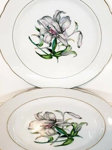 Monarch China Venice Japan 10" Dinner Plates White Lilly Lot Of 6 - Picture 1 of 9