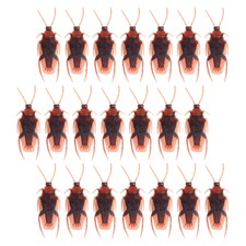  100 Pcs Simulation Cockroach Fake Rubber Funny Prank Prop Number