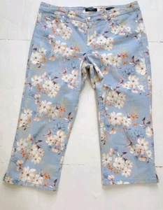 Women Capri Pants Jeans 16 W36 Spring Summer Floral Christie Light Blue MSRP$60 - Picture 1 of 8