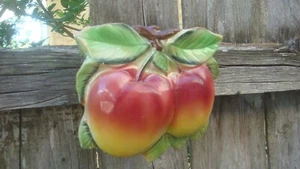 Keramik Apfel & Banane Küche hängender Pflanzgefäß Figuren - Bild 1 von 7