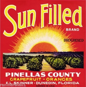 Dunedin Florida Sun Filled Orange Crate Label Art Print - Picture 1 of 1