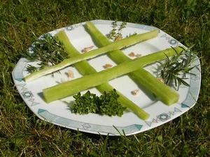 Spargelsalat "Chin. Keule", Demeter BIO-Saatgut, das besondere Salaterlebnis - Bild 1 von 4
