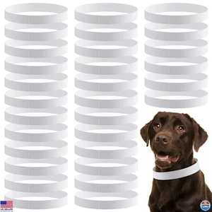 500 Stück 20 Zoll verstellbare wasserdichte Papier Hundehalsbänder, reißfeste Ausweisbänder - Bild 1 von 6