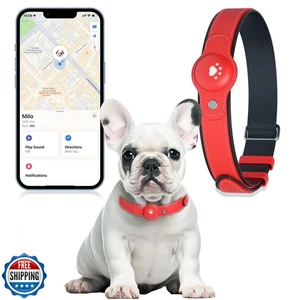 2-in-1 GPS-Tracker für Hunde: Intelligentes Halsband mit Echtzeit-Standortung, kein monatlicher - Bild 1 von 5