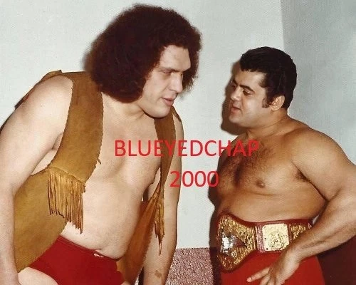 АНДРЕ ГИГАНТ И ПЕДРО МОРАЛЕС БОРЕЦ 8 X 10 РЕСТЛИНГ ФОТО WWWF - Изображение 1 из 1