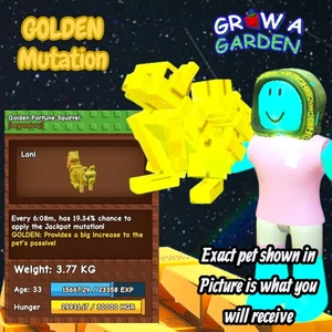 GOLDEN Fortune Squirrel. Age/Weight Shown In Photo. Grow A Garden. Same Day - Picture 1 of 1