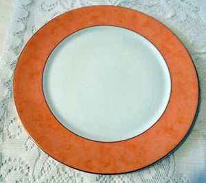 GRANDE ASSIETTE PLATE HAVILAND LIMOGES CORAIL SPECIAL LAVE VAISSELLE - Picture 1 of 4
