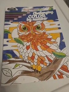 challeging colors by number by kappa. 16 pg. - Picture 1 of 1