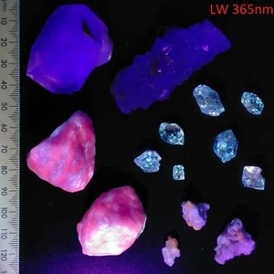 Fluorescent mineral collection kit Fluorite Sodalite Petroleum Quartz Apatite - Picture 1 of 7