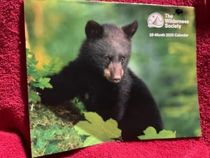 The Wilderness Society 2025 Wall Calendar - 16 months - Picture 1 of 3