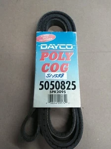Serpentine Belt-VIN: 1 Dayco 5050825 - Picture 1 of 1