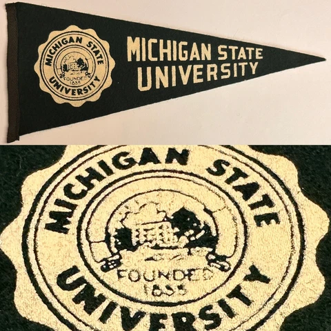 Vintage MSU Michigan State Spartans College University Mini Pennant 3.75x8.75 Cover