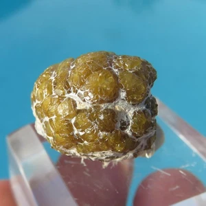 Minerali *** DEMANTOIDE - CAMPO FRANSCIA, VAL MALENCO, SONDRIO, LOMBARDIA - Imagen 1 de 2