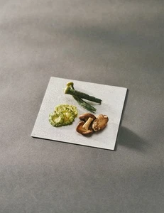 Placa de estaño NAGAE+ NAGAE Plus Ordi 99,99% 150x150 mm hecha en Japón - Imagen 1 de 8