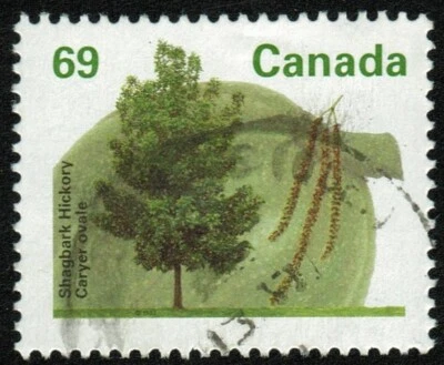 Árvore frutífera Canadá sc#1369: nogueira Shagbark, usada - Imagem 1 de 2