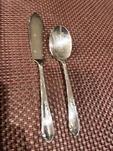 Wm. A. Rogers A1 plus Meadowbrook cucchiaio da burro di erica e zucchero - Foto 1 di 2