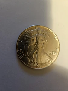 1991 1ONE DOLLAR SILVER COIN .999 1 OZ SILVER - Picture 1 of 2