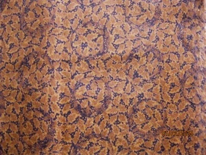 Flannel, shades of brown leaf print from RJR Fabrics - Picture 1 of 1