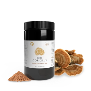 Pilze Wohlrab | BIO Coriolus Pulver für Tiere | 300 g | Schmetterlingstramete - Bild 1 von 9