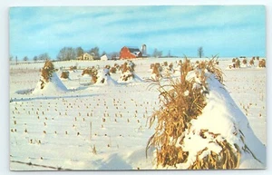 Postkarte Es ist Winter in Michigan schneebedeckte Maisschocks Felder Farm - Bild 1 von 2