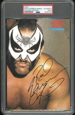 Road Warrior Animal PSA/DNA Autograph Certified Signed Auto Slabbed WWF 6x8 RIP - Image 1 of 4