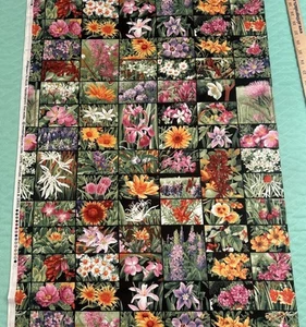 2 Yards Fabric Material MODA Wildflowers Rick Vanderpool #16505 - Picture 1 of 11