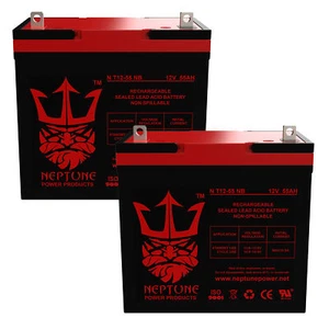 Fortress Scooters 1600ACV 22NF 12v 55Ah Replacemen Battery by Neptune - 2 pack - Picture 1 of 9