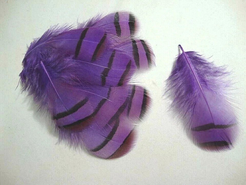 Purple Chukar Pheasant Partridge Body Plumage Feathers Jewelry Craft 20 Pc  3"  - Image 1 of 1
