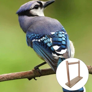 Papageien-Sitzstange Nymphensittich-Sitzstange Vogelkäfig-Sitzstange - Bild 1 von 6