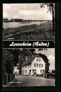 Leutesheim /Baden, Handlung E. Schneider, Rheinpartie, Ansichtskarte  - Picture 1 of 2