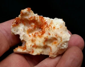 1.75" BRIGHT RED VANADINITE with BARITE from Mibladen, Khénifra, Morocco - Picture 1 of 10