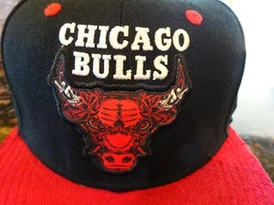NEW CHICAGO BULLS BMO Melonwear Black Snapback Hat Artist Series Louis de Guzman - Picture 1 of 6